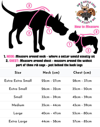 Big and Little Dogs Adjustable Harness: Donut Kill My Vibe