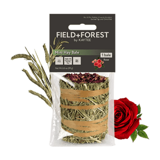 Field + Forest Mini Hay Bales rose