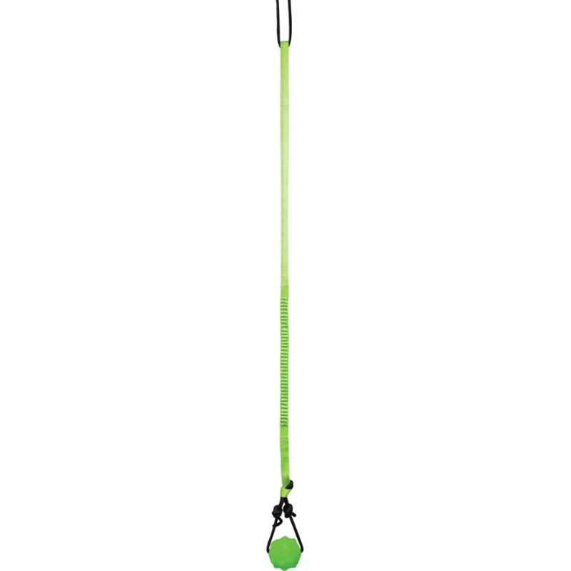 Jolly Pets Tree Tugger Bungee