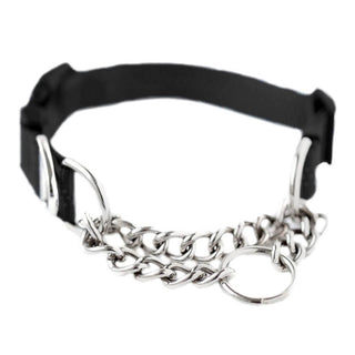 Mighty Paw Martingale Chain  Cinch Collar
