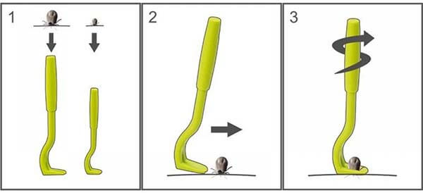 O'Toms Tick Twister Removal Tool directions