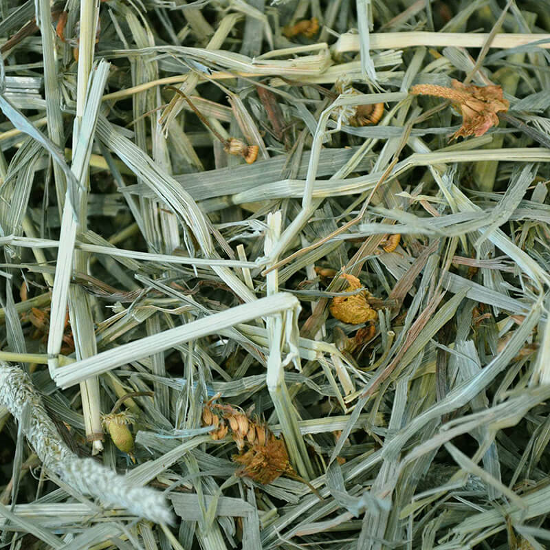 Oxbow Botanical Hay 15 oz