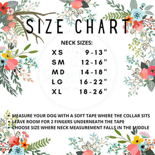 Sew Fetch Collar Easter Carrot