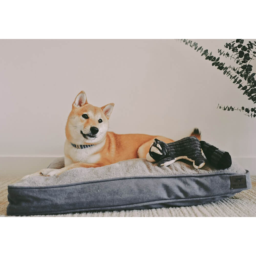 Tall Tails Dream Chaser Cushion Bedkhaki